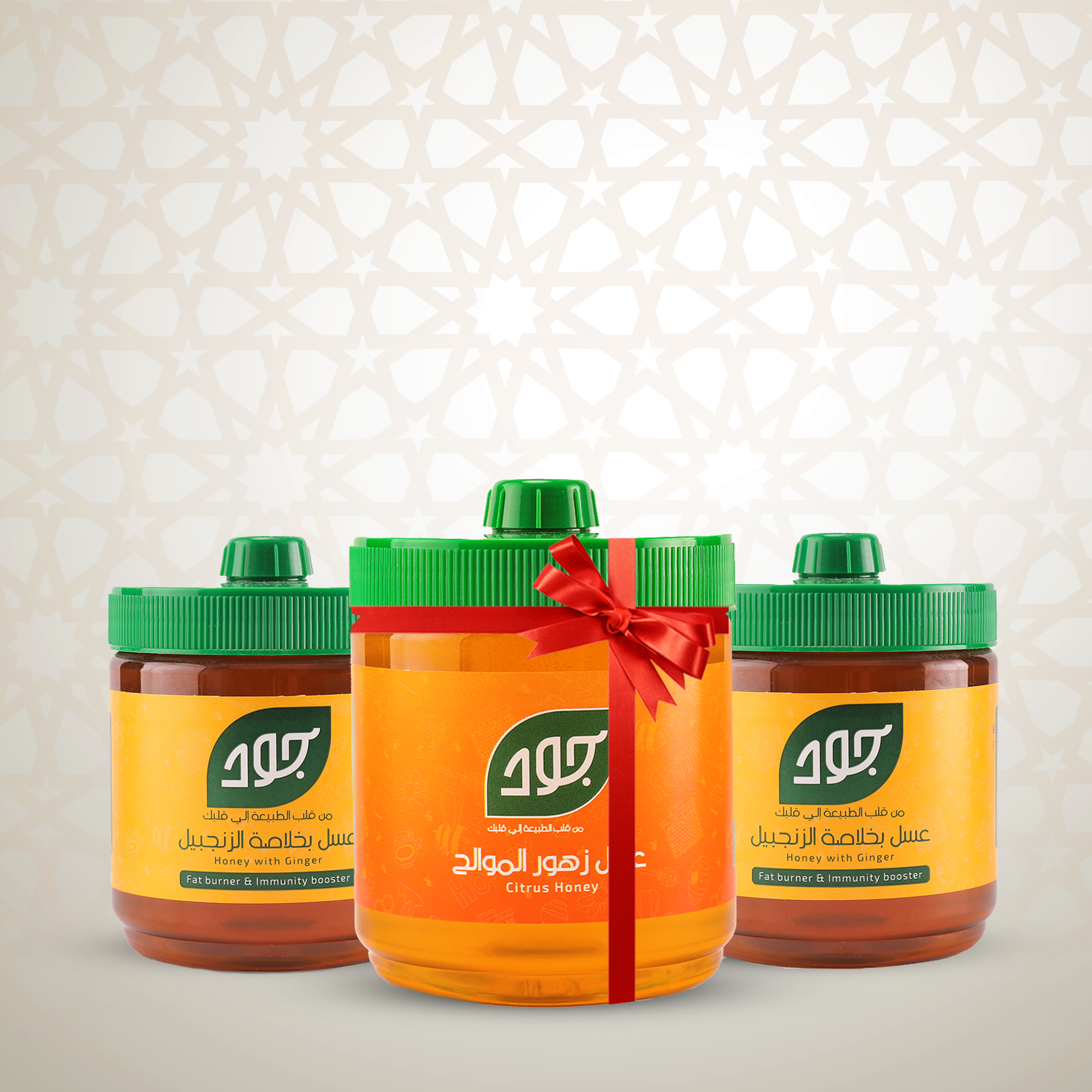 باقة الشتاء