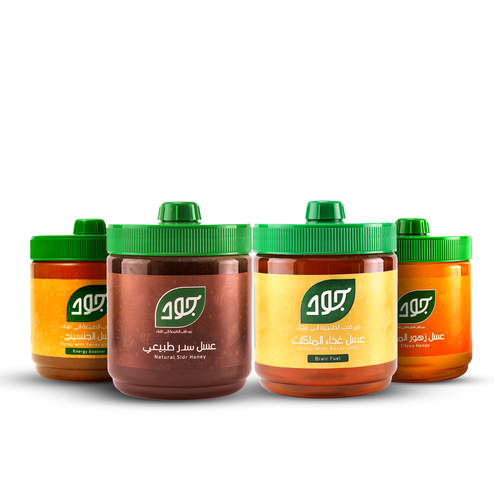 باقة النشاط والتركيز