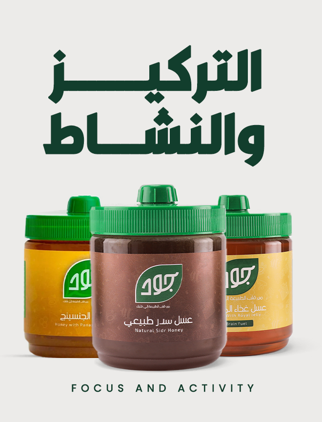 التركيز والنشاط الذهني