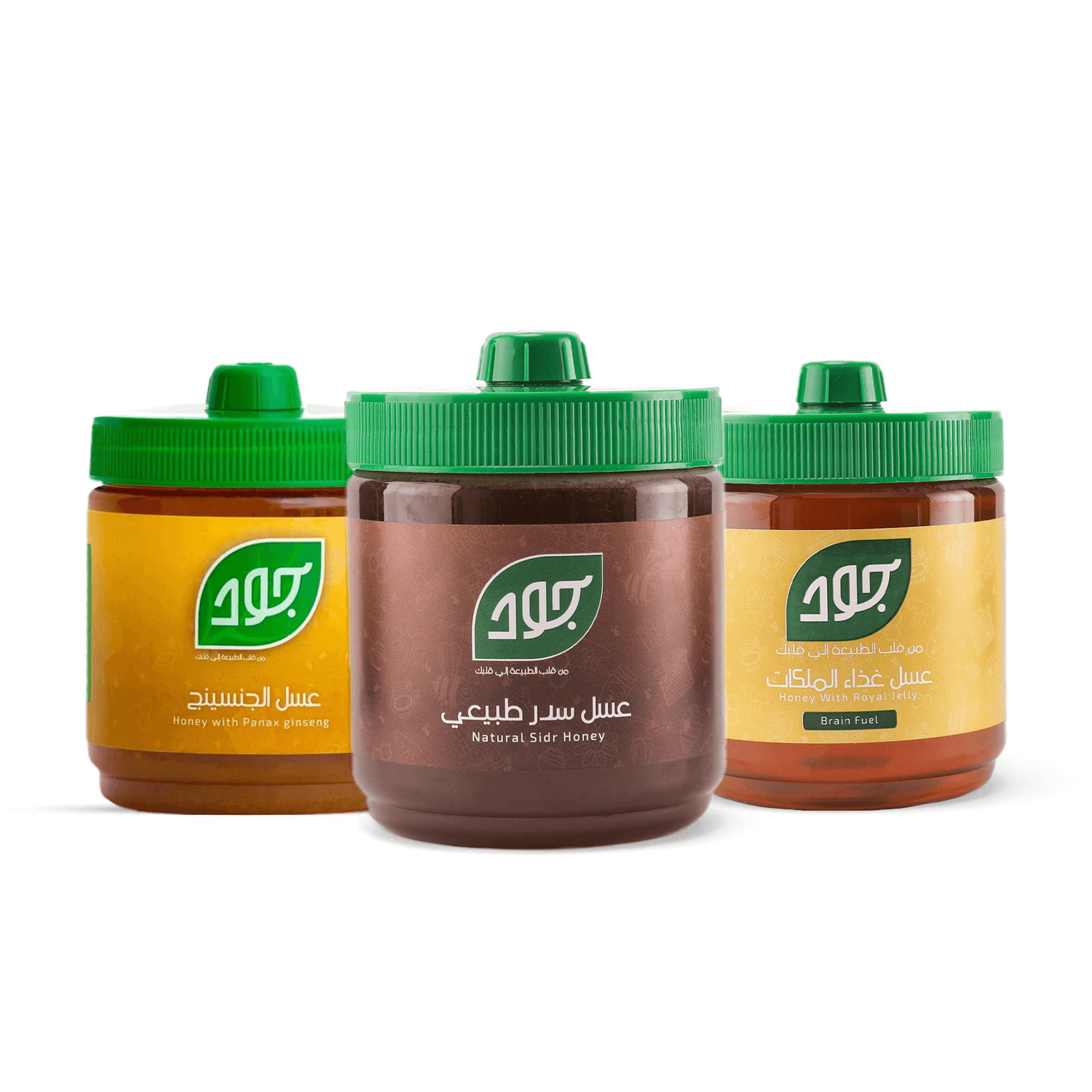 باقة النشاط والتركيز